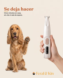 Estándar