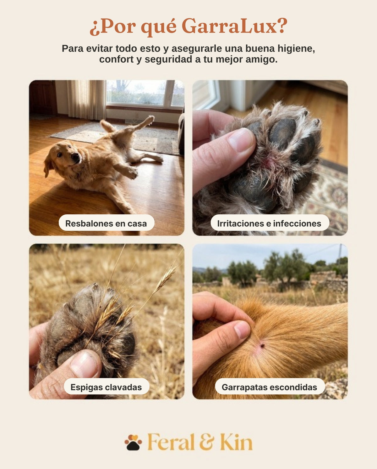 ¿Por qué GarraLux? Para evitar resbalones, irritación, espigas y garrapatas