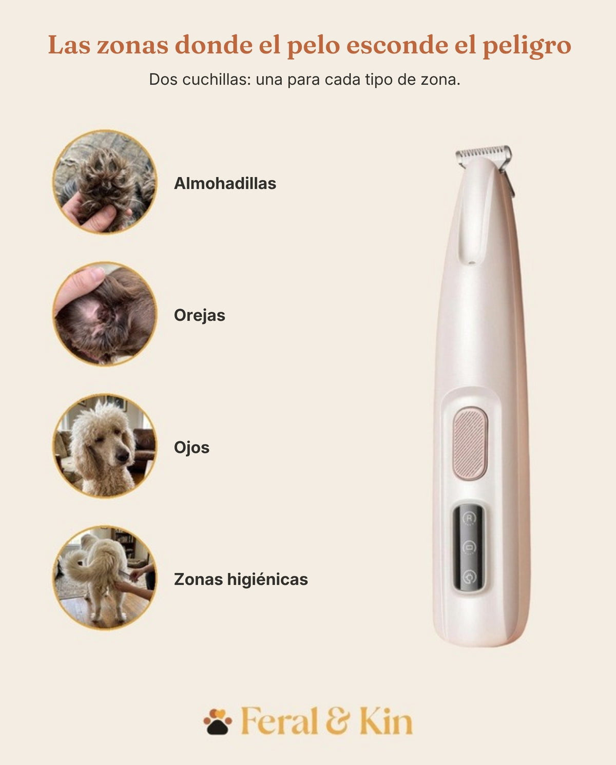 Las zonas donde el pelo esconde el peligro: patas, orejas, zona íntima, contorno de ojos